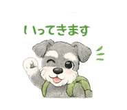 856803244