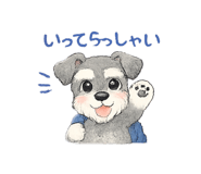 856803245