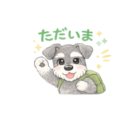 856803246