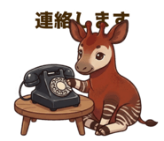 856803312
