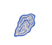 856803384