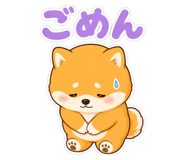 856803502