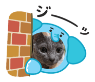 856803551