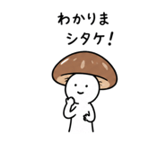 856803588