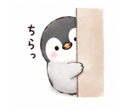 856803760