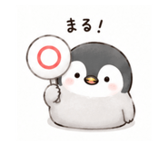 856803762