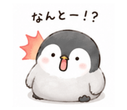 856803766