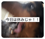 856803787