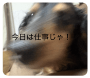 856803788