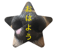 856803792