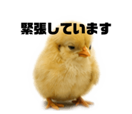 856803978