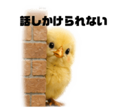 856803984
