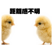 856803985