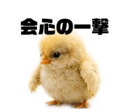 856804010