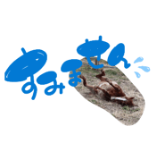 856804165
