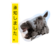 856804173
