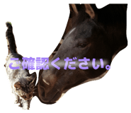 856804174