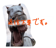 856804176