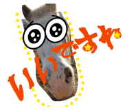 856804180