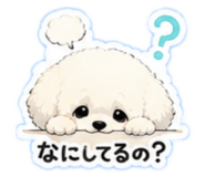 856804636