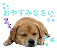 856804650