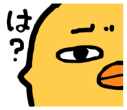 856804790