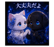 856804885