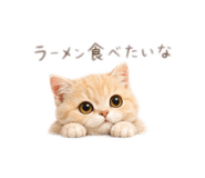 856804950