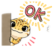 856804990