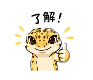 856804997