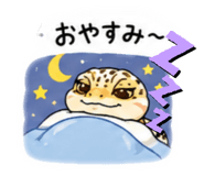 856805005