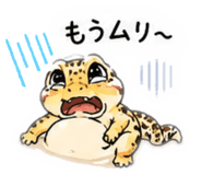 856805012