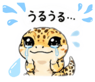 856805014