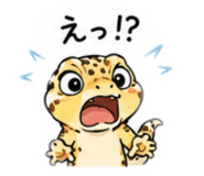 856805016