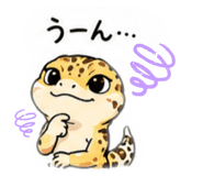 856805019