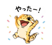 856805020