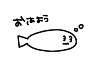 856805039