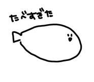 856805041