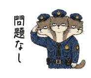 856805071