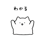 856805092