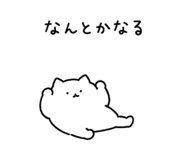 856805094