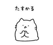 856805101