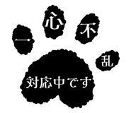 856805137