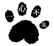 856805138
