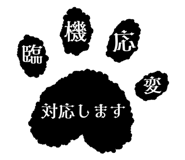 856805139