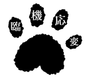 856805140