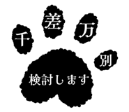 856805141