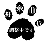 856805147