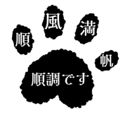 856805151