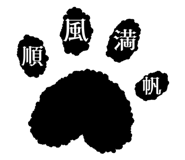 856805152